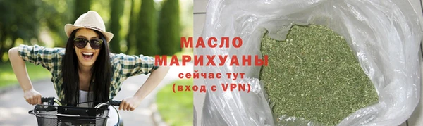 индика Дмитровск