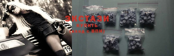 индика Дмитровск
