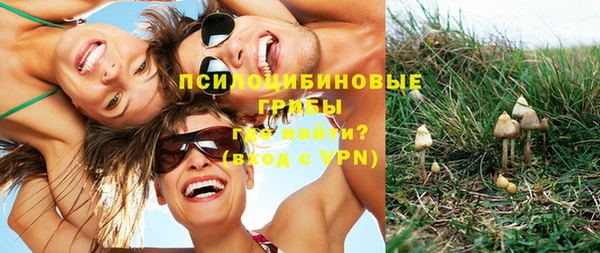 спиды Дмитриев