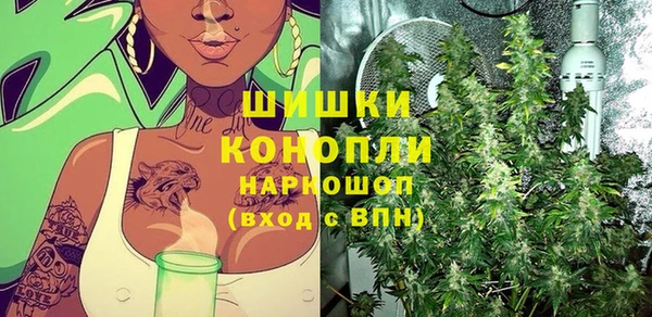спиды Дмитриев