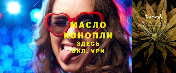 индика Дмитровск