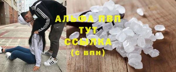 спиды Дмитриев