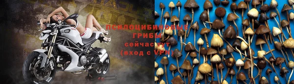 индика Дмитровск