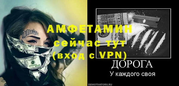 индика Дмитровск